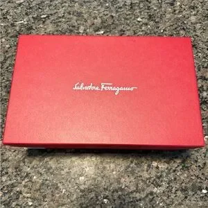 Salvatore Ferragamo | Shoes | Salvatore Ferragamo Size 1 Ee  display picture 1